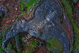Abstract_DSF1038-Edit