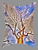 CRW_0364-Edit