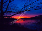 CR_1-07_0481-3