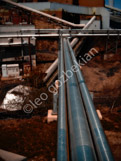 IMG_0106 copy