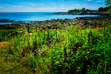 Ocean_DSF0607-Edit