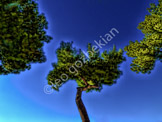 P1000805-Edit