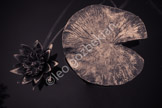 _DSF1283-Edit