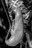 _DSF5216