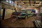 _LGF4291-Edit