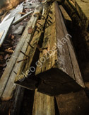 _LGF4296-Edit