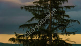 _LGP0762