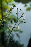 _LGP2926-Edit