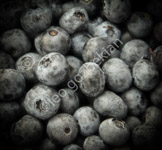 _LGP5299-Edit