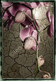 _LGP7994-Edit