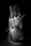 abstract still life_LEO1552-Edit