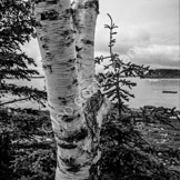 bar harbour_ba18