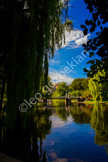 boston public gardens_LGP2927-Edit