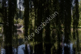 boston public gardens_LGP2929