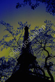 eiffel tower_eiffel3