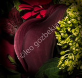 flower_DSF1338-Edit