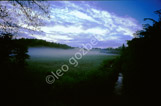 france_saint just25
