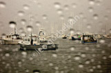harbour_0551