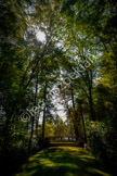 landscape_LEO6899-Edit