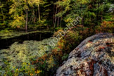 landscape_LGP3568x3