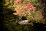 lanscape_LGP2922-Edit