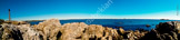 marl_3988