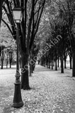 paris_DSF1208