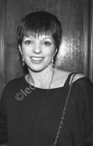 Liza_Minnelli_6