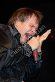 MeatloafLEO_2729