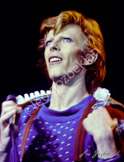 bowie_diamonddogs1