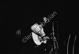 cat_stevens387