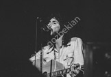 cat_stevens388