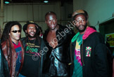 seal-14-Edit